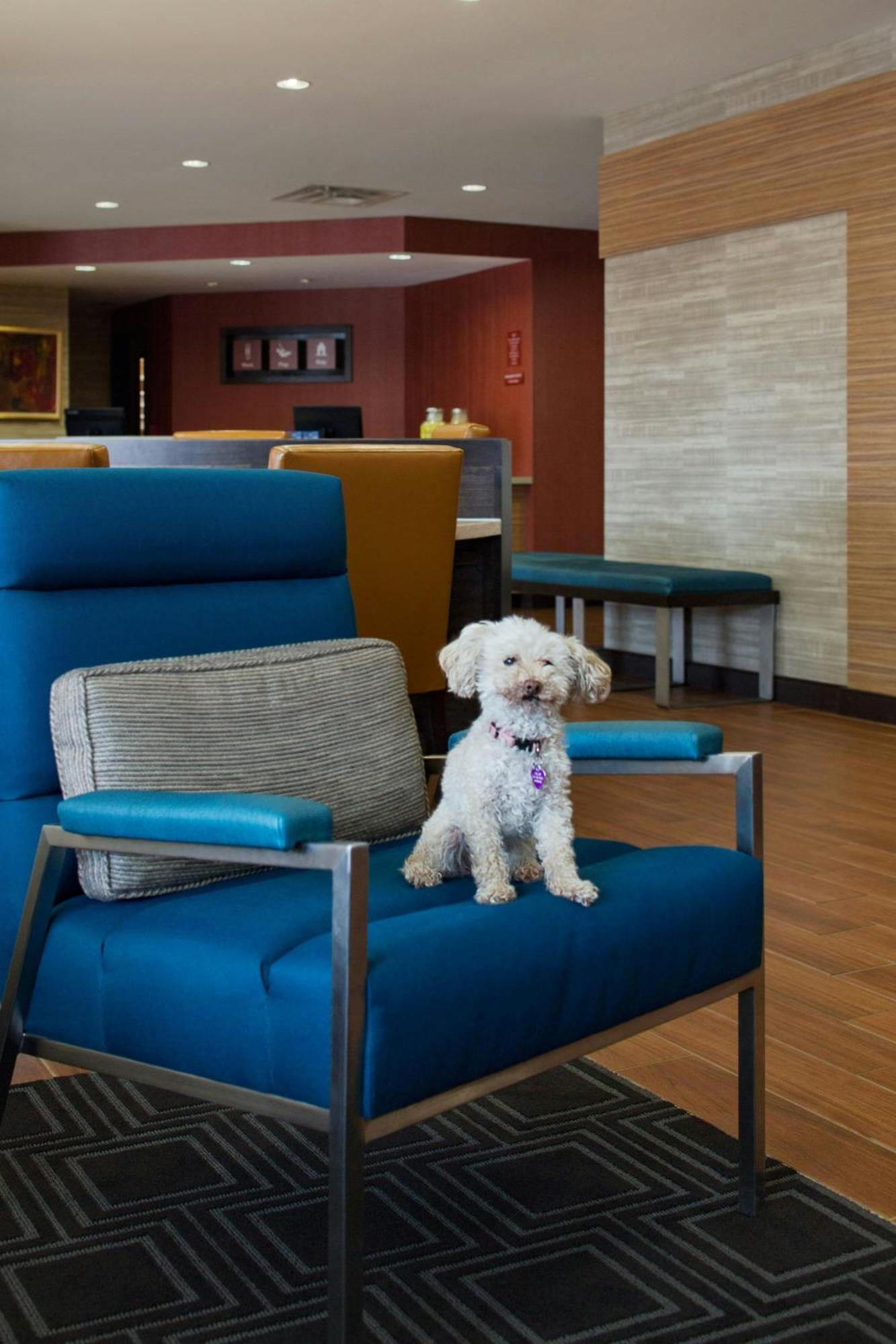 Towneplace Suites By Marriott Austin Round Rock Bagian luar foto
